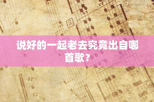 说好的一起老去究竟出自哪首歌？