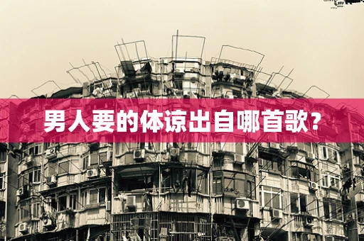 男人要的体谅出自哪首歌？
