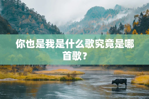 你也是我是什么歌究竟是哪首歌？