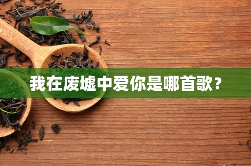 我在废墟中爱你是哪首歌？