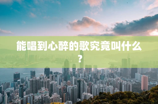 能唱到心醉的歌究竟叫什么？