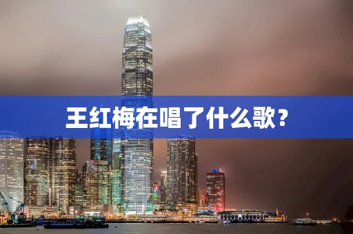 王红梅在唱了什么歌？