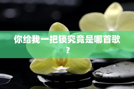 你给我一把锁究竟是哪首歌？