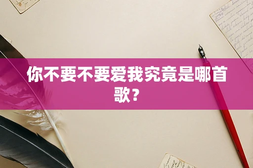 你不要不要爱我究竟是哪首歌？
