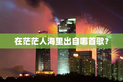 在茫茫人海里出自哪首歌？