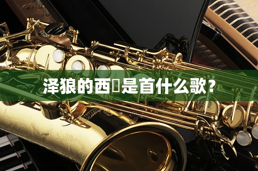 泽狼的西塱是首什么歌？