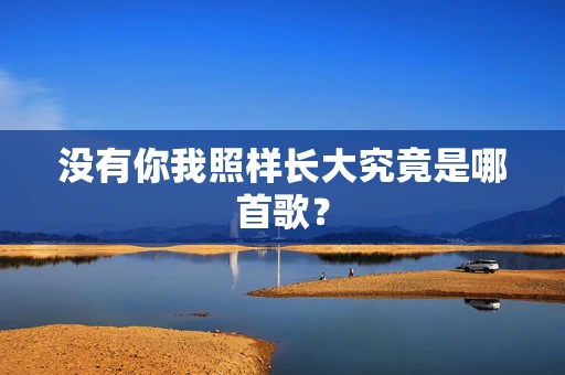 没有你我照样长大究竟是哪首歌？