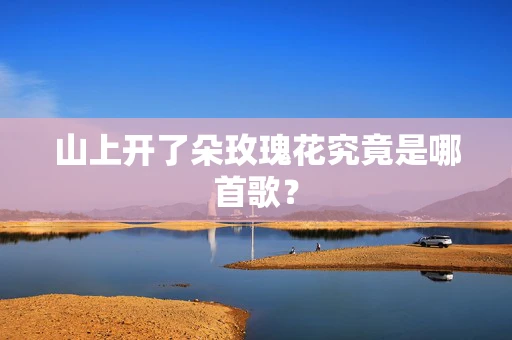 山上开了朵玫瑰花究竟是哪首歌？