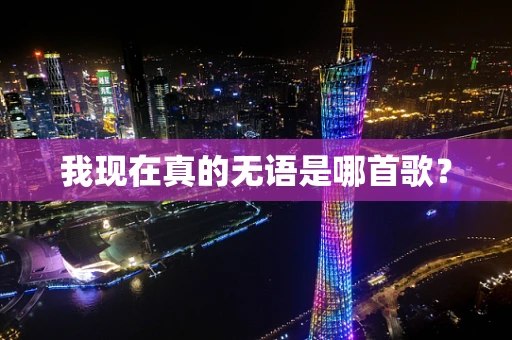 我现在真的无语是哪首歌？