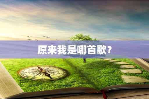 原来我是哪首歌？