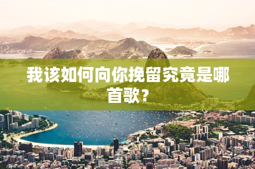 我该如何向你挽留究竟是哪首歌？