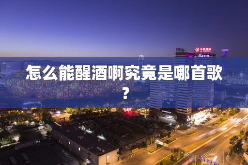 怎么能醒酒啊究竟是哪首歌？