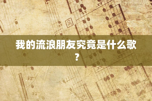 我的流浪朋友究竟是什么歌？