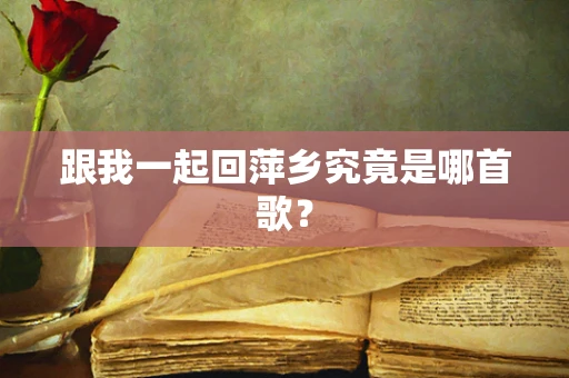 跟我一起回萍乡究竟是哪首歌？