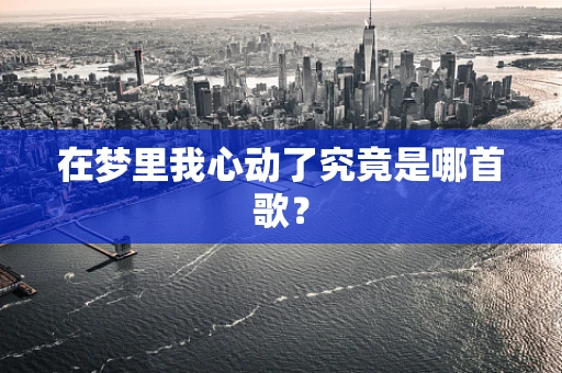 在梦里我心动了究竟是哪首歌？