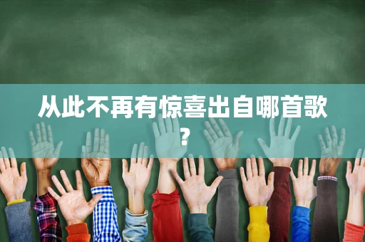 从此不再有惊喜出自哪首歌？