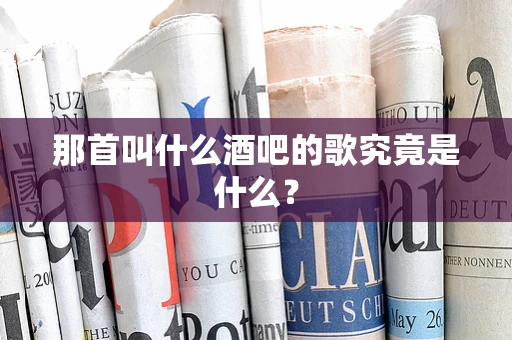 那首叫什么酒吧的歌究竟是什么？