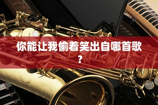 你能让我偷着笑出自哪首歌？