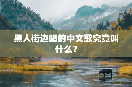 黑人街边唱的中文歌究竟叫什么？