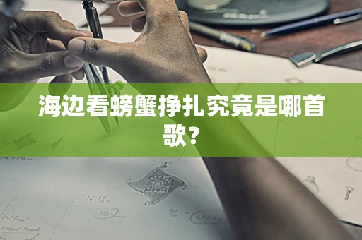 海边看螃蟹挣扎究竟是哪首歌？