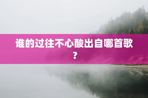 谁的过往不心酸出自哪首歌？