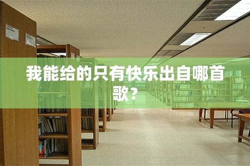 我能给的只有快乐出自哪首歌？