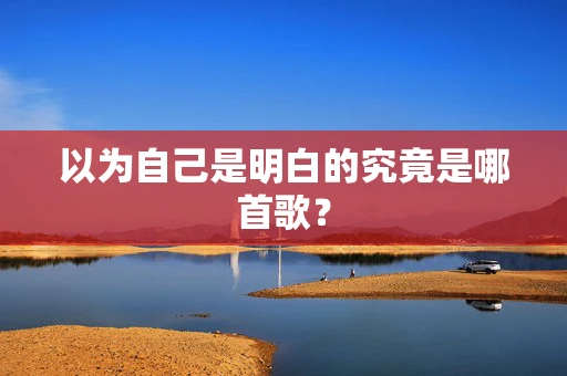 以为自己是明白的究竟是哪首歌？