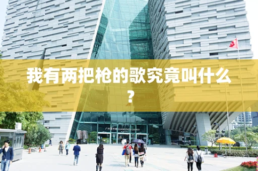 我有两把枪的歌究竟叫什么？