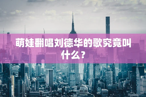 萌娃翻唱刘德华的歌究竟叫什么？