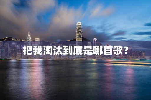 把我淘汰到底是哪首歌？