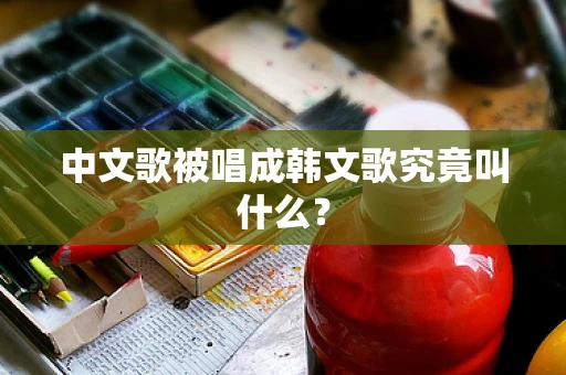 中文歌被唱成韩文歌究竟叫什么？