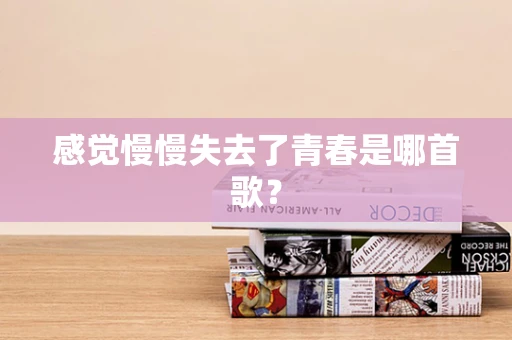 感觉慢慢失去了青春是哪首歌？