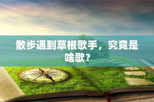 散步遇到草根歌手，究竟是啥歌？