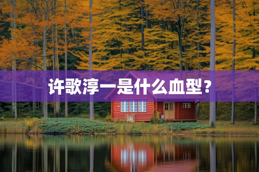 许歌淳一是什么血型？