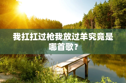 我扛扛过枪我放过羊究竟是哪首歌？