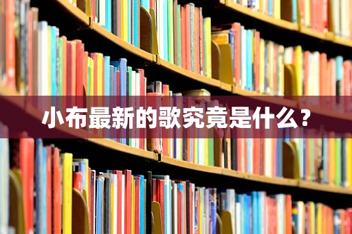 小布最新的歌究竟是什么？