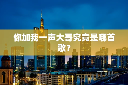 你加我一声大哥究竟是哪首歌？