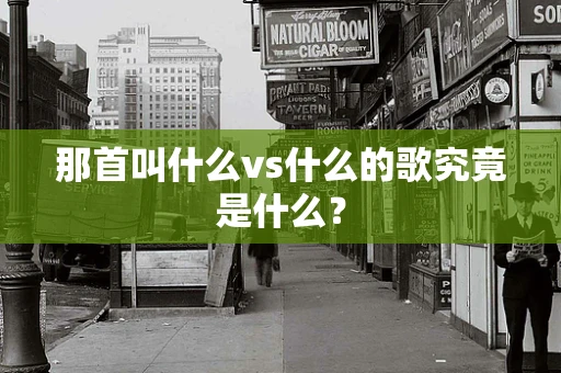 那首叫什么vs什么的歌究竟是什么？