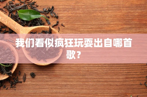 我们看似疯狂玩耍出自哪首歌？