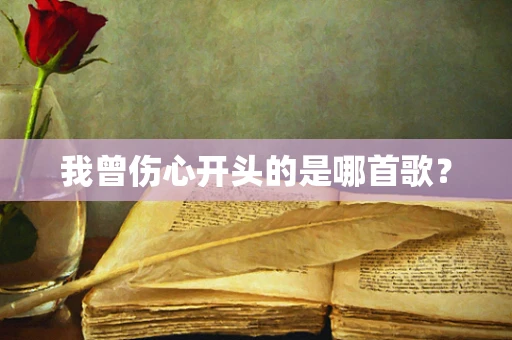我曾伤心开头的是哪首歌？