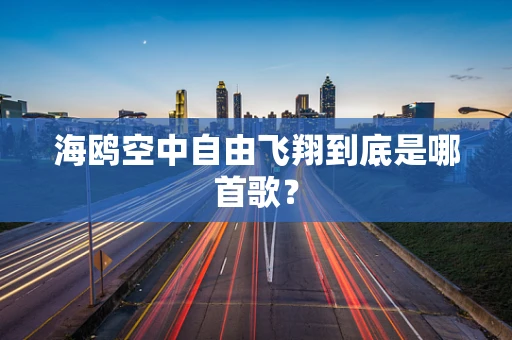 海鸥空中自由飞翔到底是哪首歌？