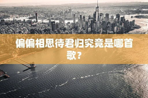 偏偏相思待君归究竟是哪首歌？