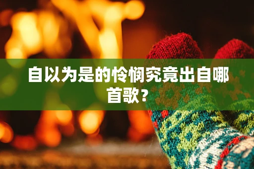 自以为是的怜悯究竟出自哪首歌？