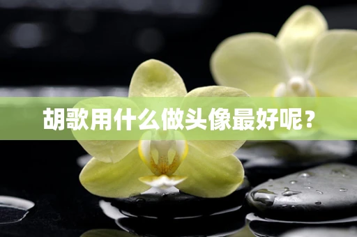 胡歌用什么做头像最好呢？