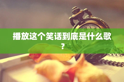 播放这个笑话到底是什么歌？