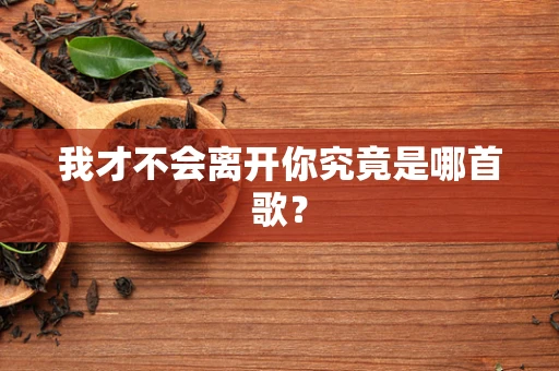 我才不会离开你究竟是哪首歌？