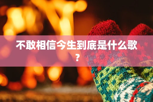 不敢相信今生到底是什么歌？