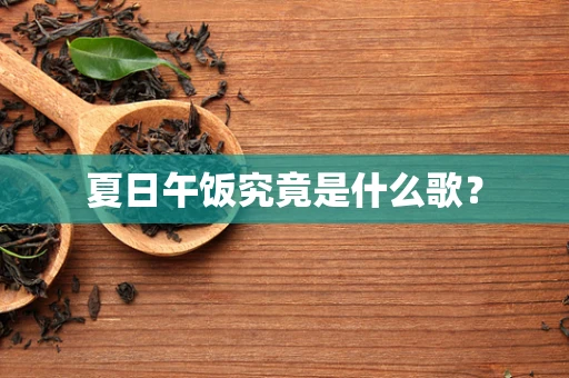夏日午饭究竟是什么歌？