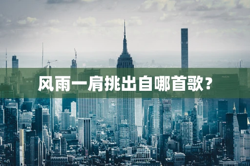 风雨一肩挑出自哪首歌？