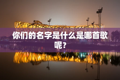 你们的名字是什么是哪首歌呢？